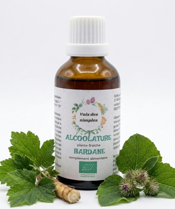 Bardane
