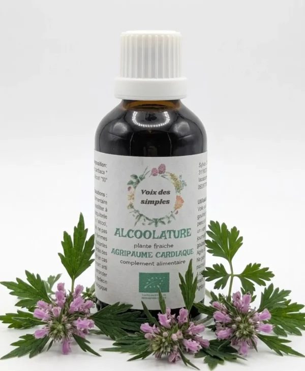 Agripaume Cardiaque