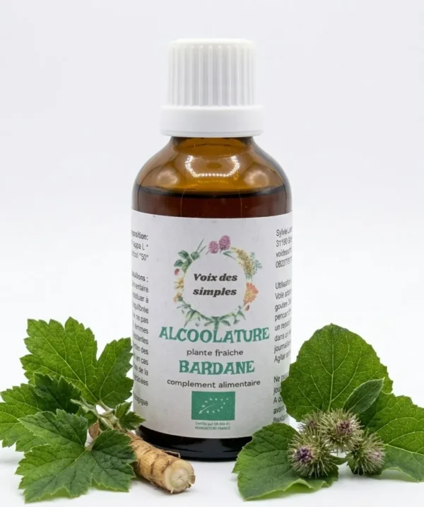 Bardane