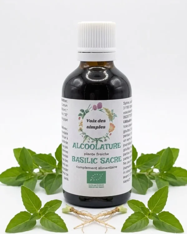 Basilic Sacré