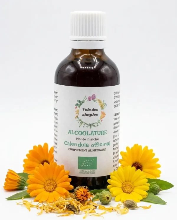 Calendula Officinal