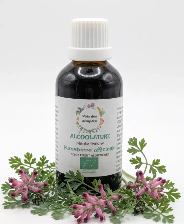 Fumeterre Officinale
