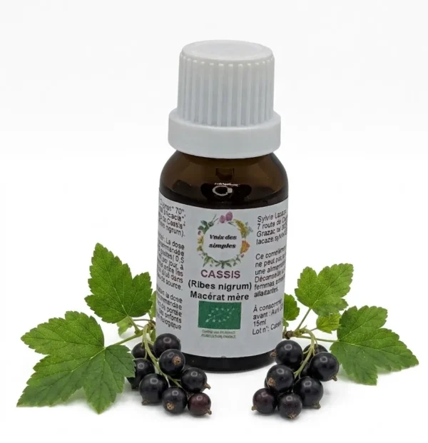 Cassis