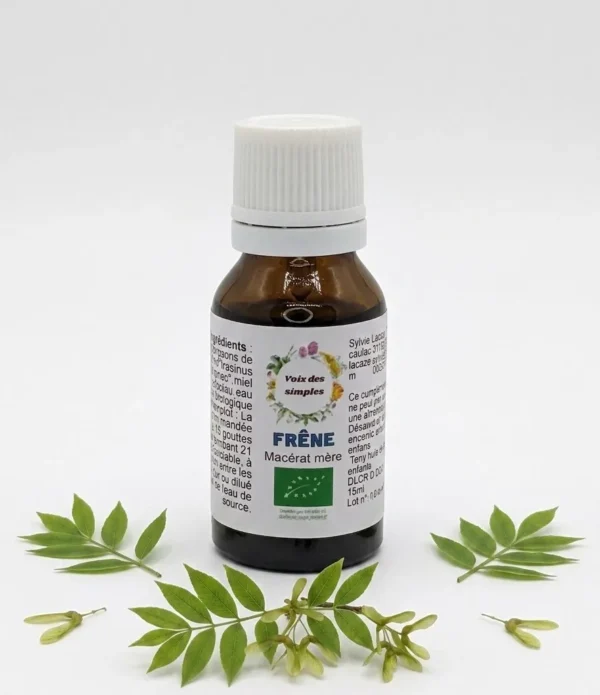 Frêne