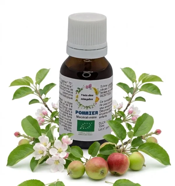 Pommier