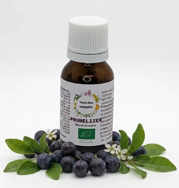 Prunellier